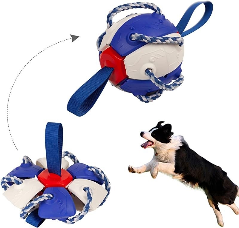 Dog Frisbee Ball