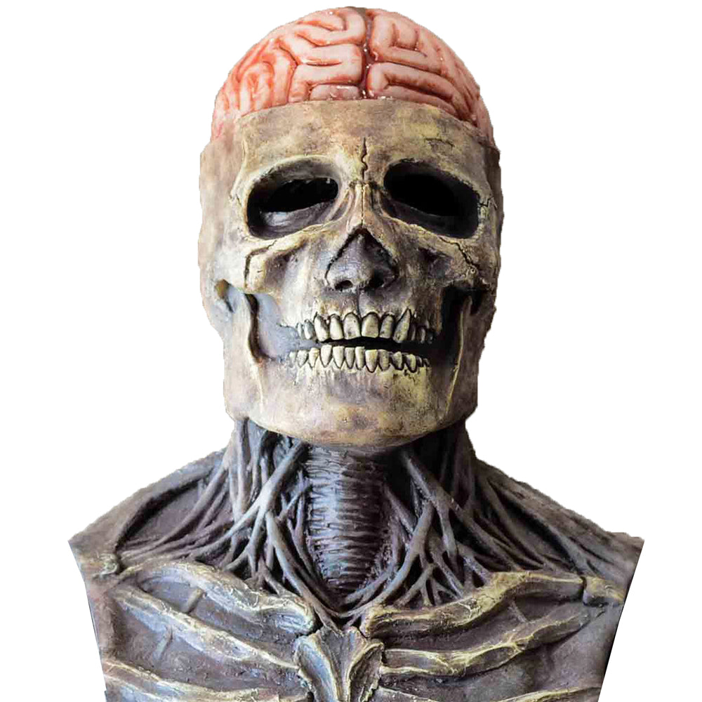 Halloween Skull Mask Full Head