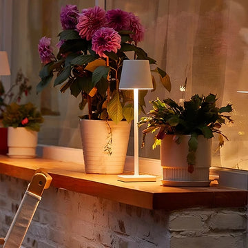 LED Wireless Table Lamps